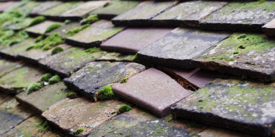Llanmartin roof repair costs